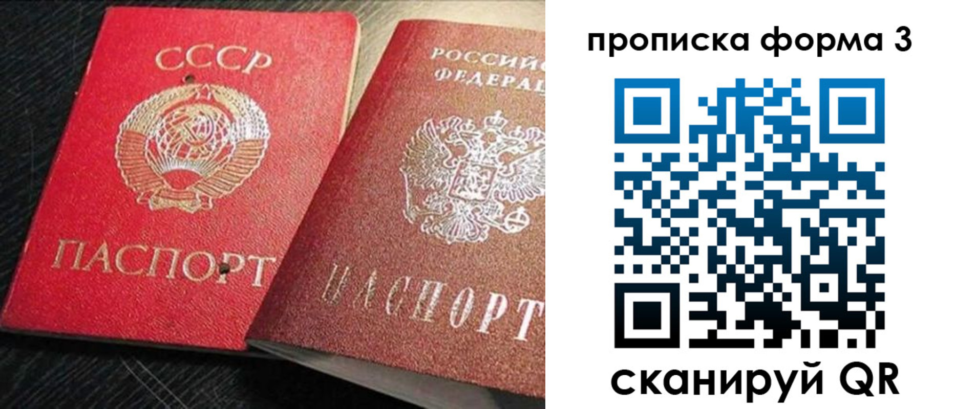 временная регистрация поиск в Находке